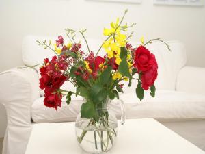 Appartements Modern Terrace Stay Montbrun, cleaning included : photos des chambres