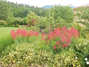 Appartements Modern Terrace Stay Montbrun, cleaning included : photos des chambres