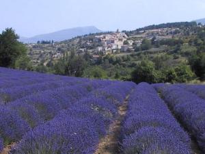 Appartements Modern Terrace Stay Montbrun, cleaning included : Appartement 1 Chambre