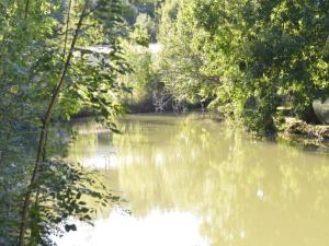 Maisons de vacances Charming Family Retreat in Loubejac, cleaning included : photos des chambres