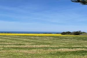 Maisons de vacances Stone House near Rosa Granite Coast, cleaning included : photos des chambres