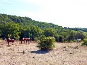 Maisons de vacances Family-Friendly Getaway : photos des chambres