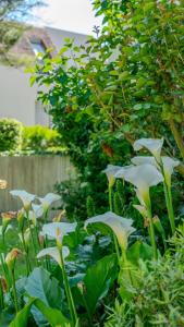 Apartment of the Flying Bridges