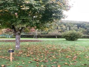 Appartements Apartment in Saint Quirin near Scenic Pond, cleaning included : photos des chambres