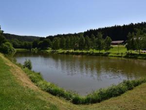 Appartements Apartment in Saint Quirin near Scenic Pond, cleaning included : photos des chambres