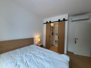 Appartements Superbe appartement 2 chambres, a deux pas du centre - FR-1-239-1128 : photos des chambres