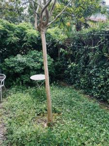 Appartement Cosy Pau avec Jardin