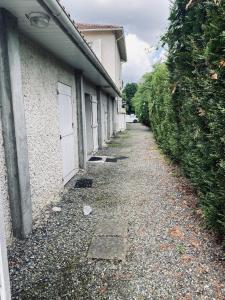 Appartements Appartement Cosy Pau avec Jardin : photos des chambres