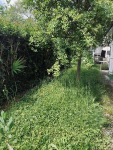 Appartements Appartement Cosy Pau avec Jardin : photos des chambres