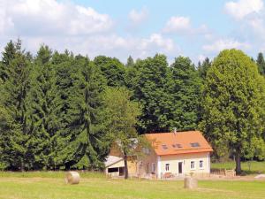 renovated house with stunning of Bohemian Forest, cleaning included