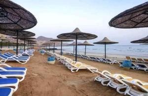 بورتو السخنه