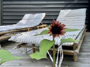 Charming Cottage Close To Smidstrup Beach