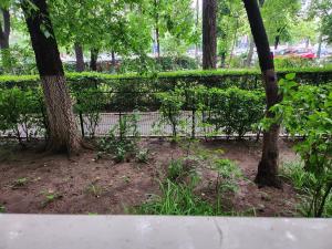 Delia Apartment Unirii