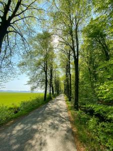 Modern Holiday Home By Limfjord