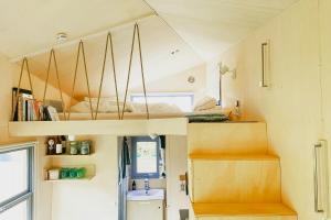 Tiny House By The Lake And An Artist Collective