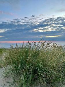 1930S Family Holiday Home In Skagen