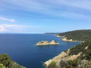 Les Jasmins