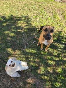Where The River Meets The Beach