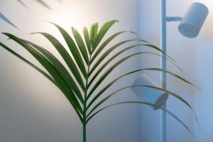 Casa Isadora Alghero img11