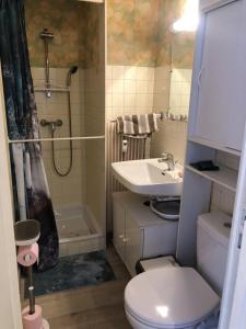 Appartements Studio 25 m2 Le Jasmin centre-ville, parking et balcon : photos des chambres