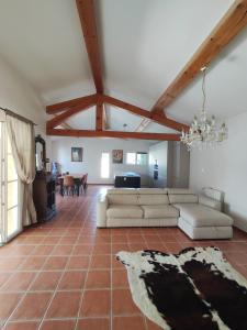 Villas Charmante villa proche Uzes : photos des chambres