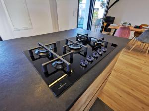 Maisons de vacances Sol i Munt Cerdanya : photos des chambres