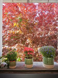 Maisons de vacances Sol i Munt Cerdanya : photos des chambres