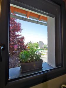 Maisons de vacances Sol i Munt Cerdanya : photos des chambres
