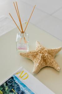 CARlBE Beachfront 2BDR with pool by Casa Paraiso