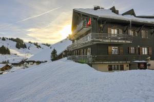 Studio "Renner"