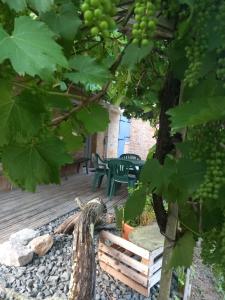 Appartements Le Tilleul : photos des chambres