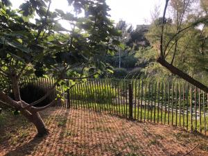 Studio Bord de Mer et VUE sur MER WIFI OFFERT