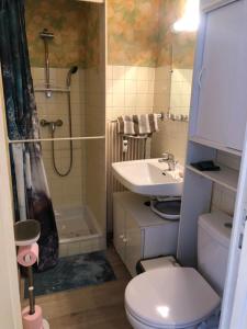 Appartements Studio 25 m2 Le Jasmin centre-ville, parking et balcon : photos des chambres