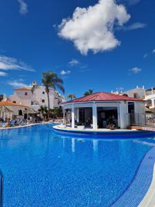 Sunny Oasis Amarilla Golf