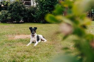 Ter Winterbeke op een steenworp van Poperinge