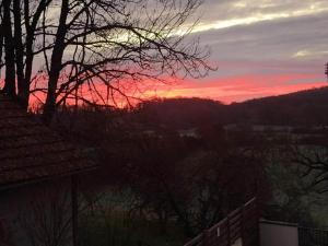 Maisons de vacances Holiday Home in Cressensac with Pool : photos des chambres