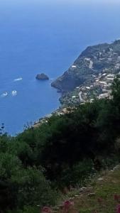 A casa di nonna Elvira