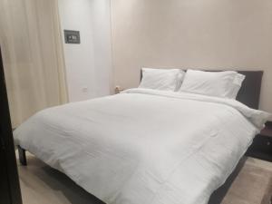 Joli Appartement de LUXE