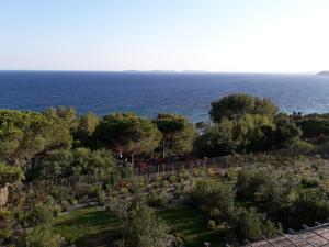 Villas Villa Sud Vue Mer : photos des chambres