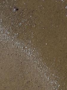 Villas Villa Sud Vue Mer : photos des chambres