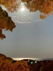 Villas Villa Sud Vue Mer : photos des chambres