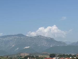 Room with garden view