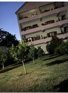 Room with garden view