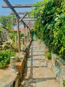 Saltos Apartment 1 - Serene Pool & Garden Escape