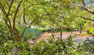 Villaggio Alberghiero Da Pepé