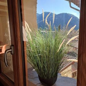 Appartements La grange de Babelli : photos des chambres