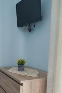 Apartments by the sea Pasman - 8219