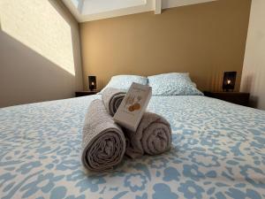 Appartements Le Yeti T4 air-conditioned Lyon Eurexpo stadium LDLC arena : photos des chambres