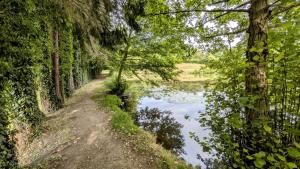 Maisons de vacances Gite Les Ribieres - gite n°12 : photos des chambres