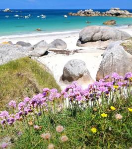 Maisons de vacances Maison du Cremiou en bord de mer : photos des chambres